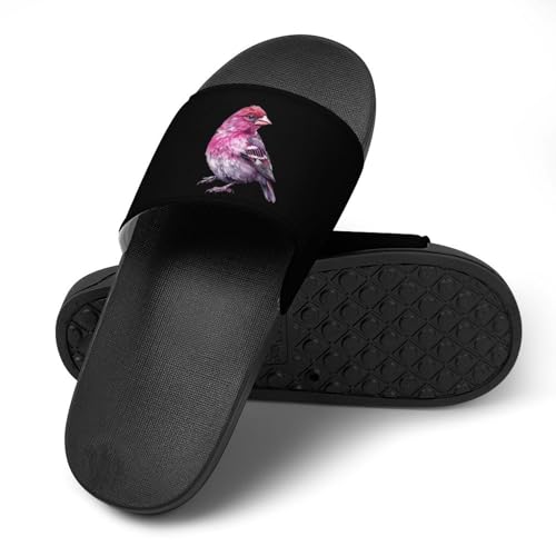 Purple Finch Bird Non Slip Slides Sandals for Women Men Quick Drying Shower Shoes for Bathroom Pool Beach4