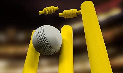 Image of Ciko Junior and Senior Hard Plastic Cricket Wickets Set for Kids for Age Group 3 to 10 Years (3 Piece Wickets, 2 Bails, Base, 20 inch and 30 inch Wickets Length (10+ to Adult)