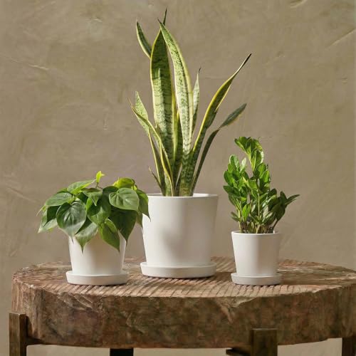 Bamworld Plant Pots Indoor with Drainage Holes- Set of 3 Pots for Plants(5.8/6.7/7.9Inch) Plastic Flower Pot Planters for Indoor Outdoor Plants Garden Pots for Room & Office Décor White