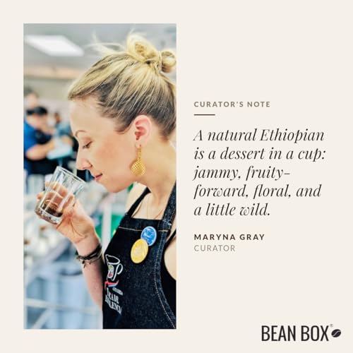 Single Origin Ethiopia - Café en Grano Tostado - 12 Ounce miniatura 5