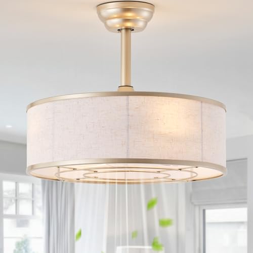 Tuirmhais 20" Gold Caged Boho Fandelier Ceiling Fan with Light & Remote Control - Bladeless Chandelier Fan, 6 Speed Quiet Reversible Motor for Bedroom, Nursery, Living Room
