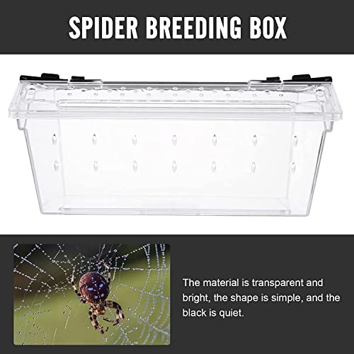 Brewix 2Pcs Plastic Transparent Feeding Reptile Feeding Box Reptile Breeding Box Insect Breeding Container Box Small Hatching Aquarium #TOP4