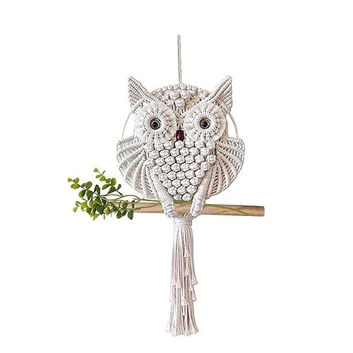 MOTUZP Owl Macrame Wall Decor Owl Pendant Lace Wall Hanging Tapestry Boho Tapestry Wall Hanging Boho Decor Handmade Woven Art Decorations for Home(s)