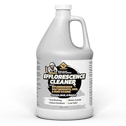 RadonSeal Efflorescence Remover - Cleans Efflorescence, Mortar Haze, Lime, and