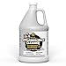 RadonSeal Efflorescence Remover | Cleans Efflorescence, Mortar Haze, Lime Deposits, and Rust Stains. No Oder | Safe for Use Indoors & Outdoors