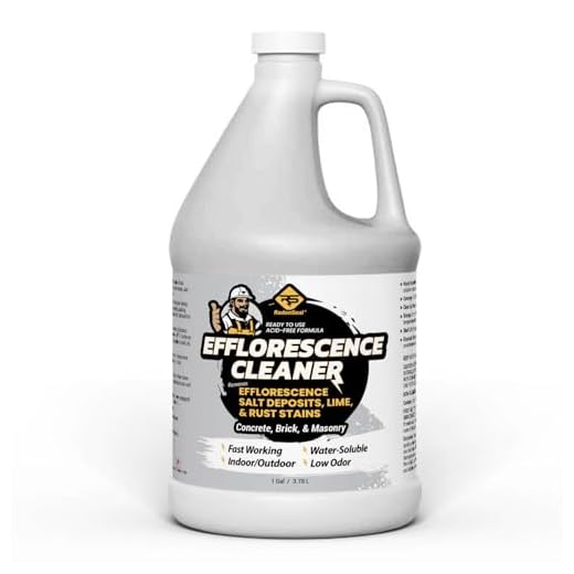 RadonSeal Efflorescence Remover Solution