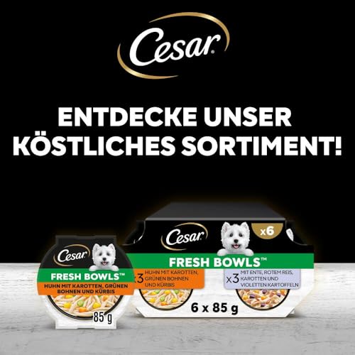 Cesar Schale mit Ente, Karotte, Rind, Reis und Geflügel in Soße 2 x 5 x 85 g