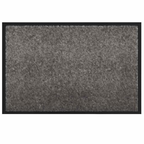 vidaXL Tapis de Porte Gris Clair 60 x 40 x 1.2 cm Tissu en Teddy, Tapis d'entrée rectangulaire, Moderne, Portable pour Couloir, Salon, intérieur, Jardin,...