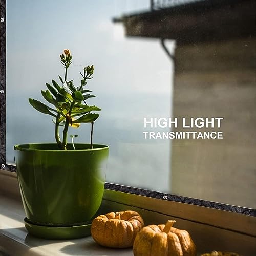 Telone Trasparente 2×4m, Esterno Telo