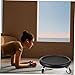 Toyvian 1set Abdominal Sliding Discs for Knee Pad Multi-Functional Rolling Disc Fitness Equipment for Low-Impact Workouts Easy to Clean and Improve Coordination