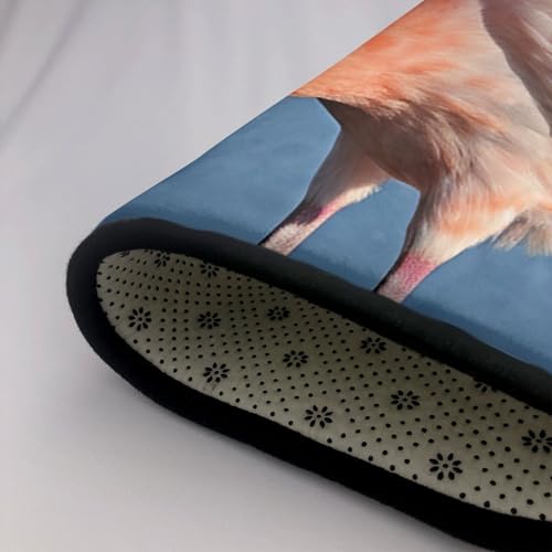 Tapis lavable flamant rose ultra doux pour sol glissant