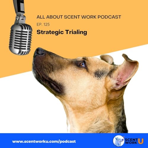 Strategic Trialing cover art