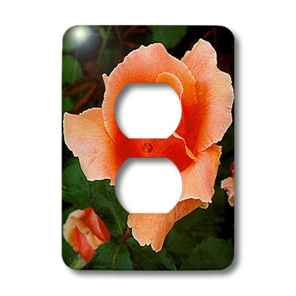 Tapa de enchufe doble 3dRose Peach HT Rose decorada con flores 3