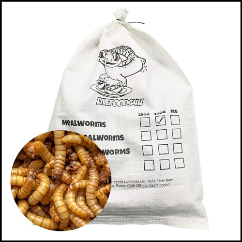 livefoods4u - Livefoods4u Live Mealworm 500g Bulk Bag (20-30mm) - Live Food for Reptiles & Garden Birds