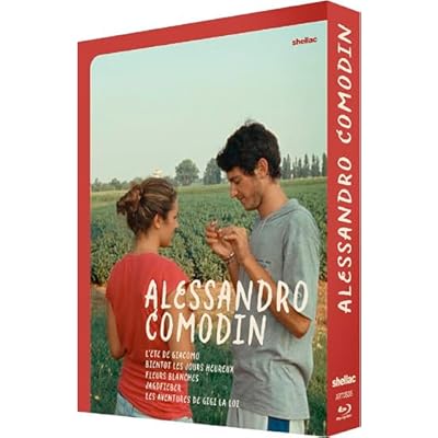 Alessandro Comodin Collection