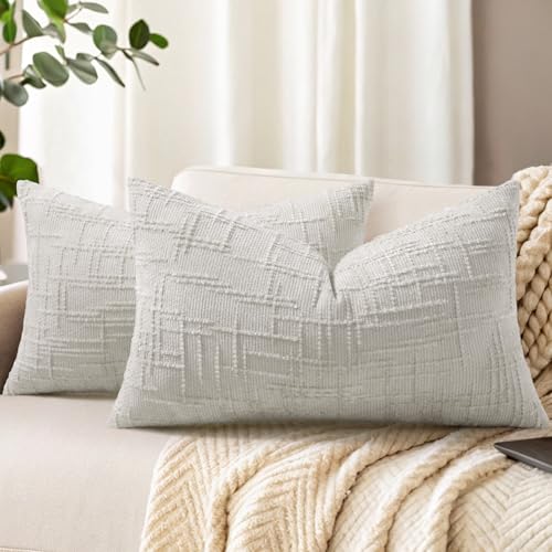 decorUhome Fall Light Grey Chenille Throw Pillow Covers 12x20 Set