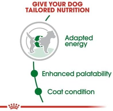 Royal Canin Mini Adult Köpek Maması, 8 Kg - Görsel 7