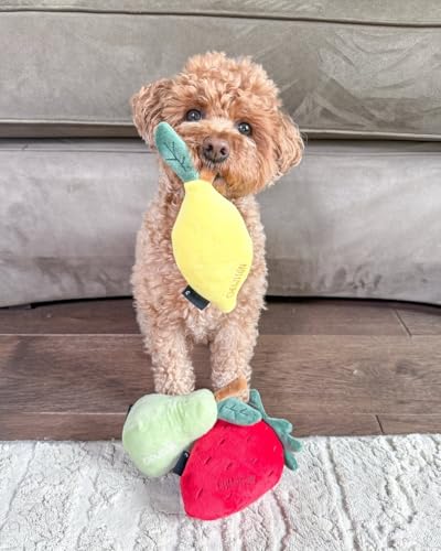 CHEWFFON Quietschende Plüschhundespielzeuge, Hundegeschenke zum Geburtstag für kleine und mittlere Hunde zur Langeweilebekämpfung, 3-stückiges Obst-Hundespielzeug-Satz – Erdbeere, Zitrone, Birne
