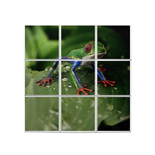 Carreaux céramique grenouille exotique 15,2x15,2 cm lot de 9