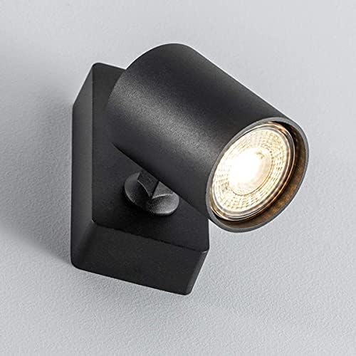 CGC Lighting Round Circular Surface Mount Spotlight Adjustable Ceiling Downlight Spot Down Light Lounge Living Room Kitchen Bedroom (Black, Double)