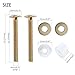 Toilet Screw Set Toilet Seat & Screws Replacement Hardware Convenient Screw Set