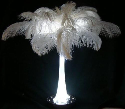 Kit for 12 Eiffel Vases with 240 Deluxe Bleach WHITE OstrichPlumes-10/15" Long-For 12 Arrangements--30" Wide--Feathers-Tops-Lights--NO VASES Included