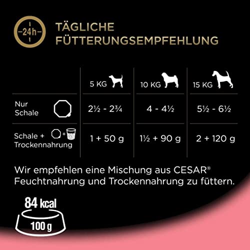 Cesar Hundefutter Nassfutter Landküche Kalb & Truthahn, 7 er Pack, (7 x 2 Schalen x 150 g)