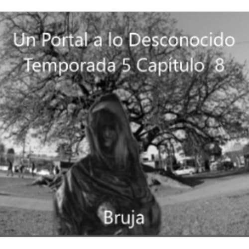 T5 C8 Bruja
