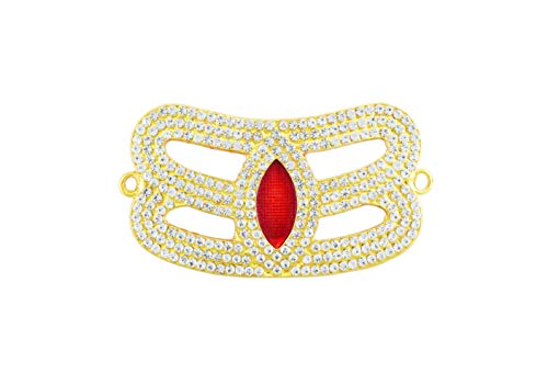 GOOFY TURTLE Vibudhi (Namam) for All Gods and Goddesse (7806)