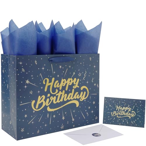 wishinside 13'' Large Birthday Gift Bag Set with Handles, Greeting Card, Blue Tissue Papers and Stickers for Boys Kids Men for Men's Birthday Party, Kids' Parties, Baby Boy, 1 Pcs