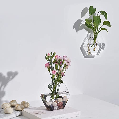 Blogblog Glass Wall Planters 6Pcsterrarium Hanging Air Plant Holders Containers For Hydroponics Plants, Succulents, Herbs, Flowers (Hexagon) #TOP1