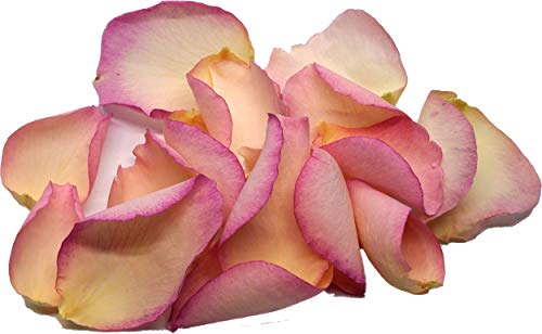 Pétales de rose rose vintage sélection premium Uncle Roy's coffret 20L