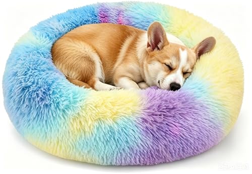 20in Rainbow Calming Donut Bed
