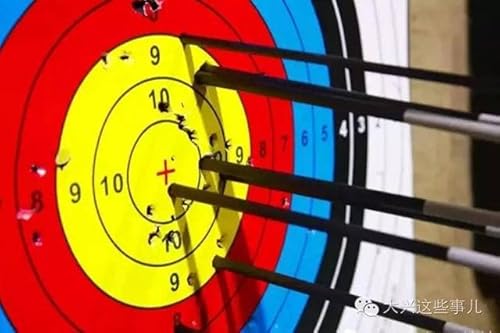 Leemui 100/125/150 Grains Archery Field Points,Archery Practice Hunting Arrow Tip For Recurve, Compound Bow Crossbow, Screw-In Arrowheads (Black-100Grain19/24) #TOP6