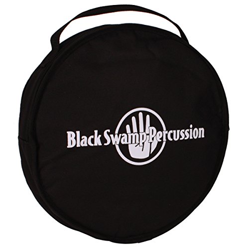 Black Swamp Percussion Overture Series 10In Tambourine Double Row With Remo Head Brass Tdov #TOP2