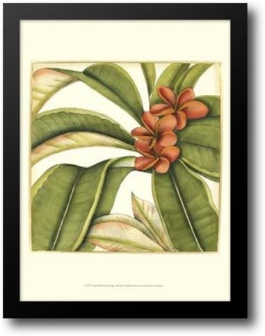 Tropical Blooms And Foliage I 22x28 Framed Art Print by Goldberger, Jennifer