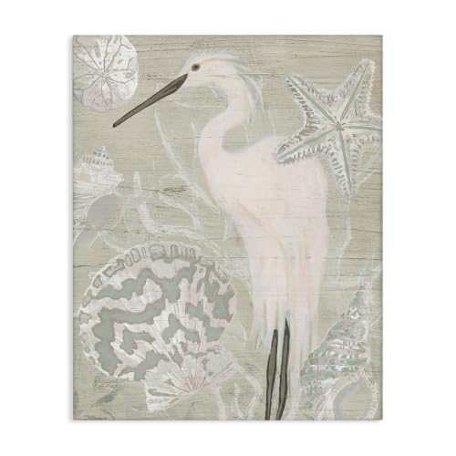 Stupell Industries Rustic Seashells Egret, 16 x 20 Inch Canvas Wall Art