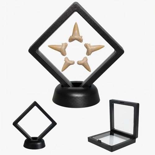 2 Pack Shark Tooth Display Case Floating 3D Sealed Holder for Shark Teeth Fossils & Jewelry Dust-Proof PE Film Display Box for Collectors (2.76 x 2.76 in)
