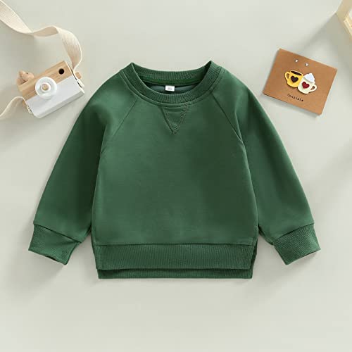 Toddler Kids Baby Boy Girl Crewneck Sweatshirt Cotton Long Sleeve Solid Color Pullover Top Casual Spring Fall Clothes (Green, 6-12 Months) #TOP3