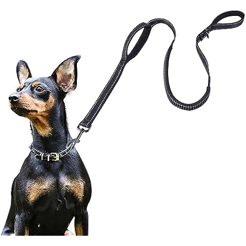 ECO-CLEAN Dog Leash, 6 Ft Bungee Dog Training Leash, Reflective Dog Leash for Medium Large Dogs, Shock Absorbing Retractable Strong Dog Leash with Padded Double Handle Cover
