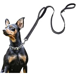 ECO-CLEAN 6 Ft Reflective Dog Training Leash, Shock Absorbing Retractable Strong Dog Leash for Medium Large Dogs