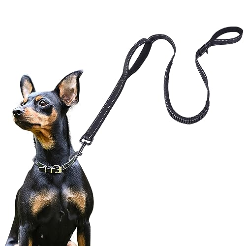 6FT Shock Absorbing Dog Leash with 2 Handles, Heavy Duty Nylon
