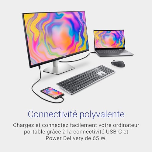 Dell S2722QC USB-C 27" 4K UHD (3840x2160) Écran PC, 60Hz, IPS, 4ms, AMD FreeSync, 99% sRGB, HDR, Haut-parleurs intégrés, USB-C, 2x HDMI, 2x USB, Garantie 3 ans, Argent