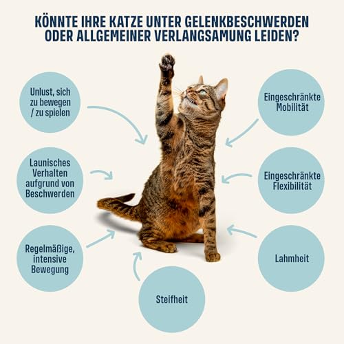 ivvi Gelenk Essenz für Katzen – Schlecksnack mit Glucosamin, Chondroitin, Grünlippmuschel & Lachsöl – zur Unterstützung der Gelenke – 30x15g – mit echtem Thunfisch