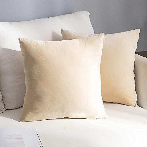 Image of Decorative Holland Velvet Cushion Square Pillow Covers Pillowcases for Sofa Bedroom with Invisible Zipper || (Cream, Set of 5 Piece (16X16 Inches)