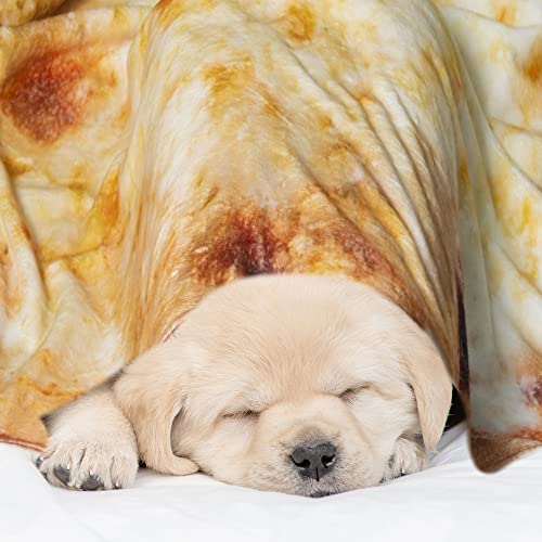 Qiyi Pizza Blanket 2.0 Double Sided For Adult And Kids, Giant Funny Realistic Food Throw Blanket, Novelty Round Taco Blanket, Warm Soft Tortilla Blanket - 60" In Diameter, Yellow Cheese Pizza #TOP5