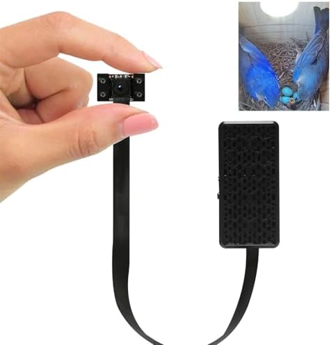 Best Wren Birdhouse Designs That Will Transform Your Garden Space 4 WIWACAM WiFi Bird Box Camera, 4K HD Snapshot 2K Video, Designed for Birdhouse birdhouses, for Robins Wrens Tree Swallows, Live Video to Phone, Easy Install, Night Mode, microSD Card Slot