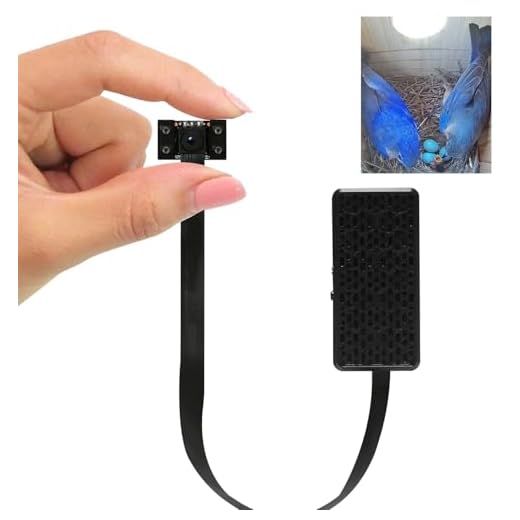 4K HD Bird Box Camera for Bird Watching