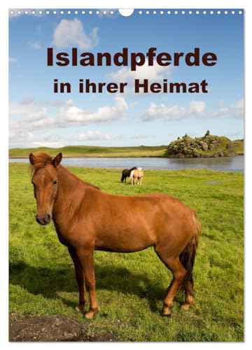 Icelandic Horses in Their Home (Wall Calendar 2026 DIN A3 High), CALVENDO Monthly Calendar: Icelandic Horses are a Robust Horse Breed with a Particularly Dense Winter Fur