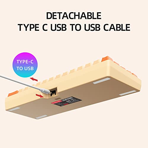 Snpurdiri 60% Wired Gaming Keyboard, Rgb Backlit Ultra-Compact Mini Keyboard, Waterproof Mini Compact 61 Keys Keyboard For Pc/Mac Gamer, Typist, Travel (Orange And Cream) #TOP2